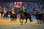 Cavalry - 00128